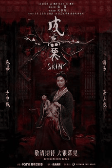 2828电影网_《皮囊》电影海报在线看